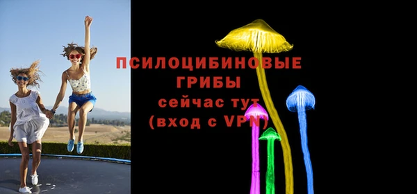 прущая мука Ладушкин
