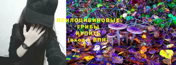 прущая мука Ладушкин