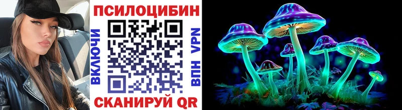 Купить закладки  Нижнекамск  Галлюциногенные грибы GOLDEN TEACHER